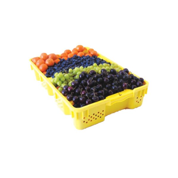 Small Agricultural Container SAC221505TB
